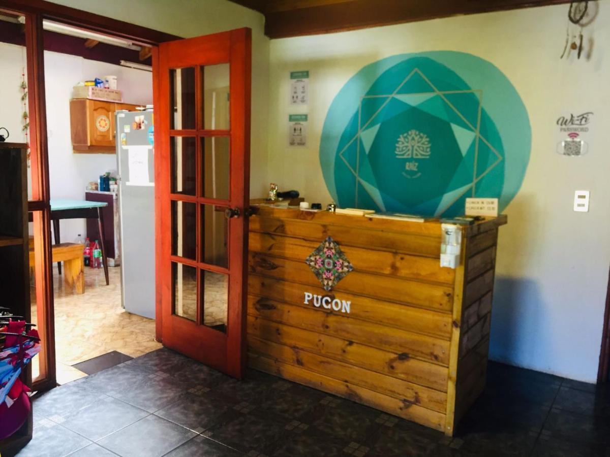 Hostel Raiz Pucon Luaran gambar